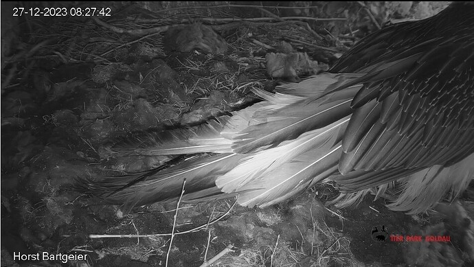 Screenshot_20231227_082811_Samsung Internet