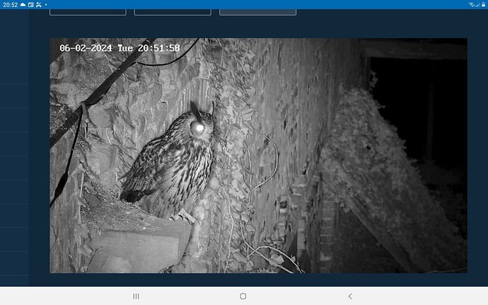 Screenshot_20240206-205210_Chrome