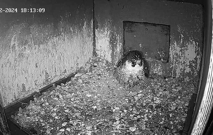 Screenshot_20240222-181005~2