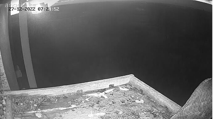 Snap_2022.12.27_07h24m57s_002_