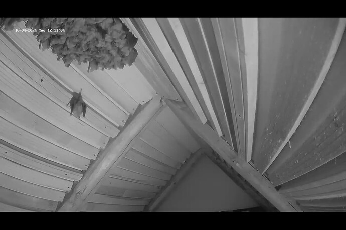Screenshot (441)