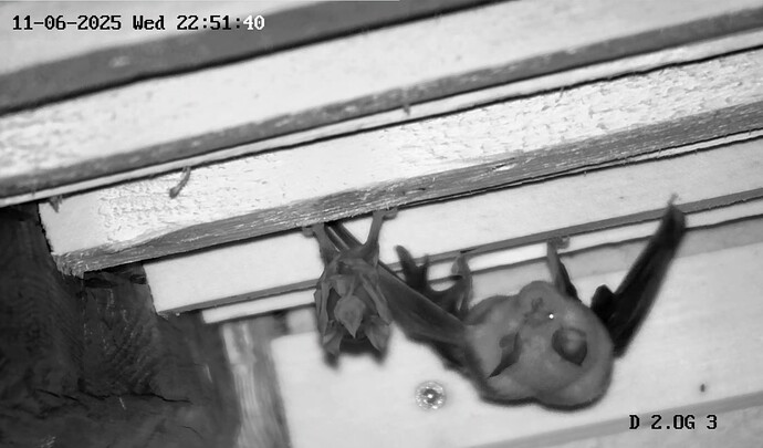 Screenshot_20250611-225151_Chrome