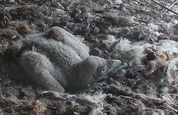 ich bin schon groß 26.03.24