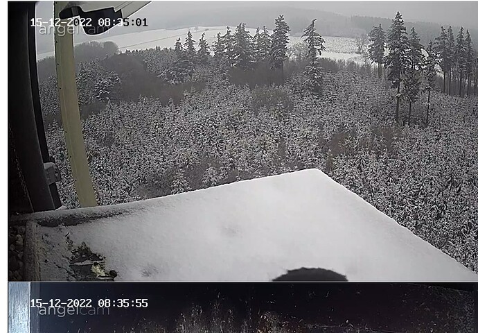 Capture+_2022-12-15-08-35-12(1)