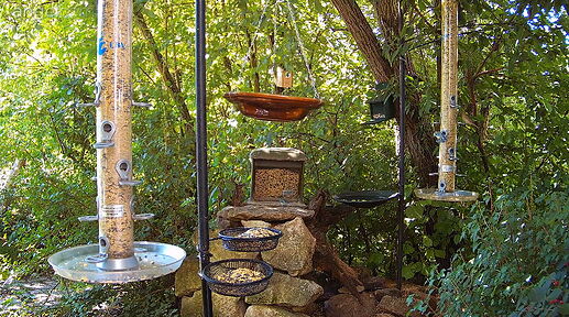 Snap_2024.07.09_12h44m09s_003_