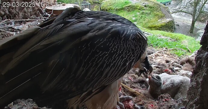 es schmeckt 29.03.25