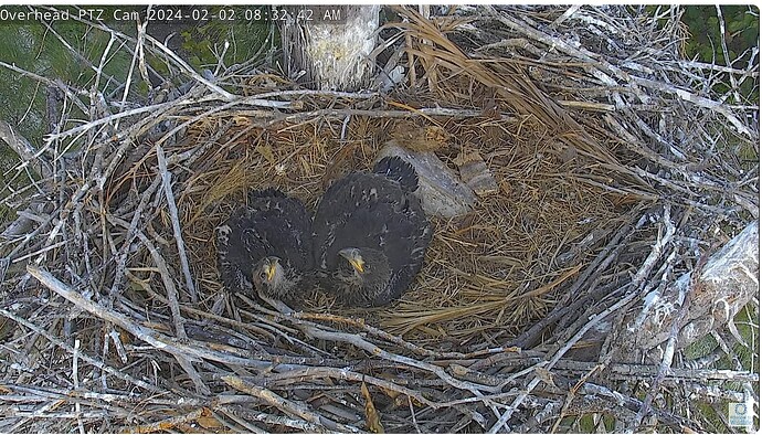 Screenshot 2024-02-02 143502