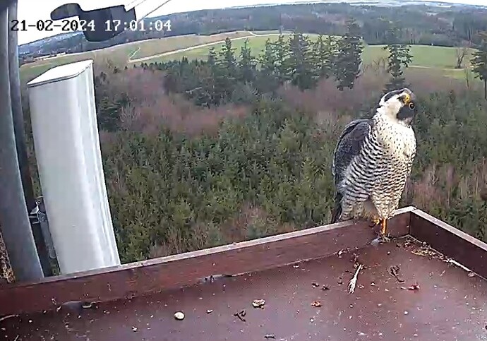 Screenshot_20240221_165954_Samsung Internet