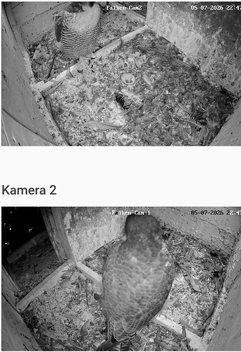 Screenshot_2026-07-05-22-48-09-323_com.android.chrome~2