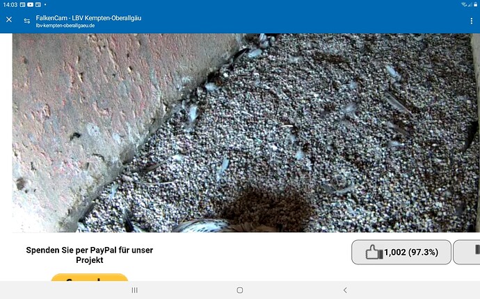 Screenshot_20240330-140342_Chrome