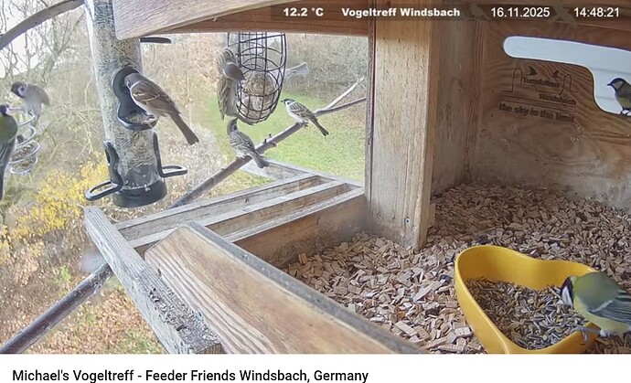 Screenshot_20251116-144842~2