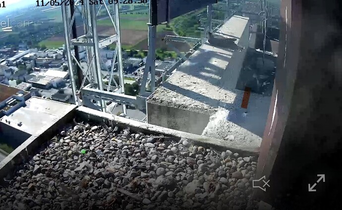 Screenshot_20240511_092921_Chrome