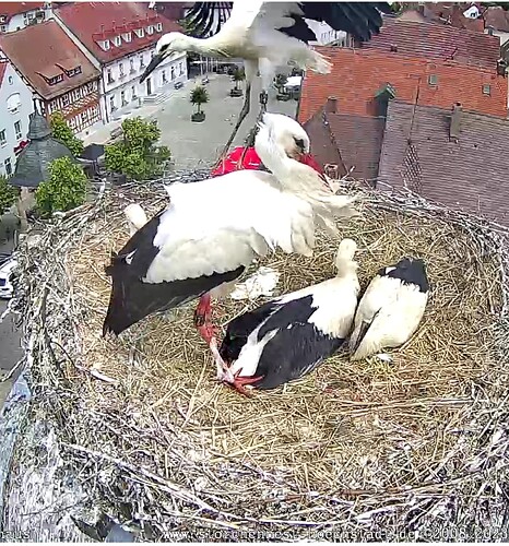 Screenshot_20230619-115607~2