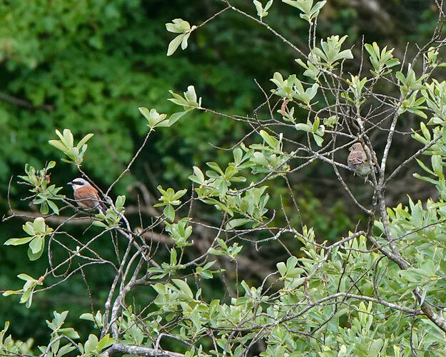 DSC02009