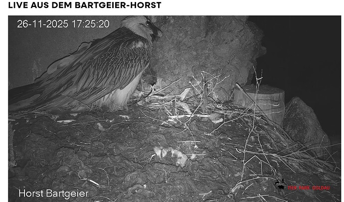 Screenshot_20251126-172625~2