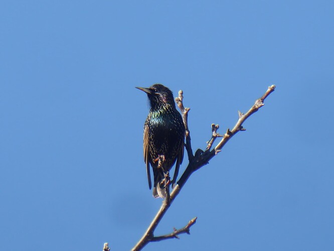 P1100738