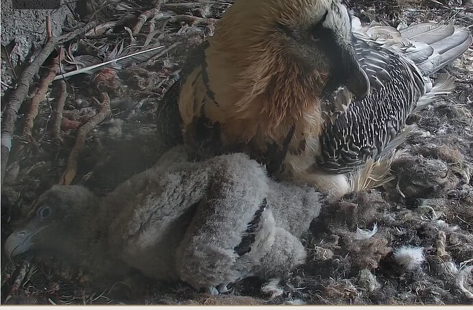 Muss mich hinlegen 03.04.24