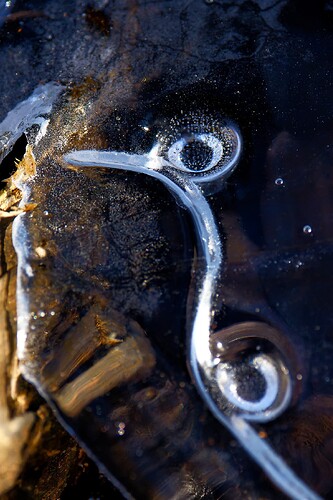 IMG_3433_DxO_DxO