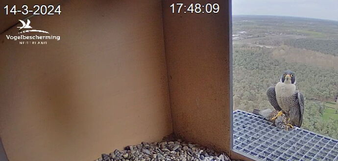 Snap_2024.03.14_17h49m09s_015_