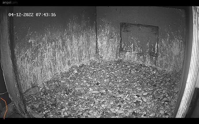 Snap_2022.12.04_07h42m41s_001_