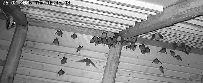 2026-02-26_2 ab 18.00 Aufbau Cluster 2