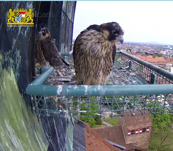 Screenshot_20230508-153350~2