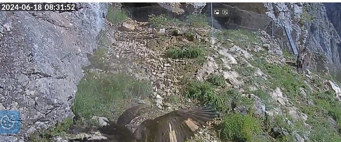 Kleine Übungen Wigg 18.06.24