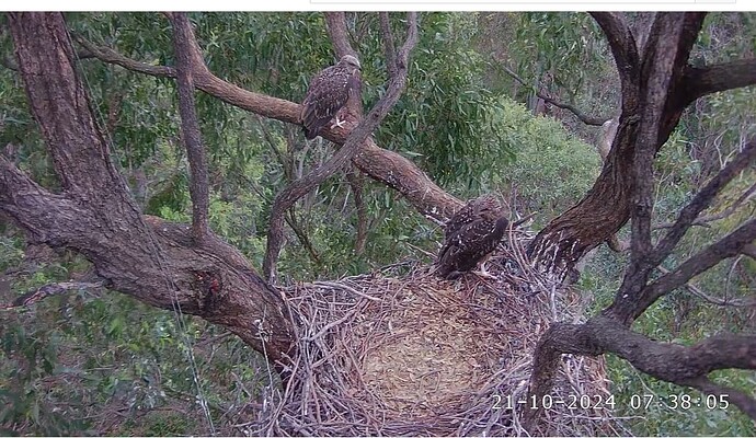 Screenshot 2024-10-20 230300