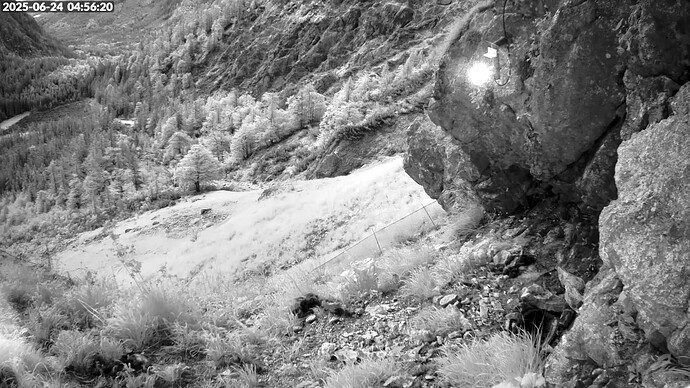 Bildschirmfoto vom 2025-06-24 04-56-42