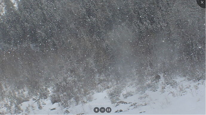 Snap_2023.04.04_11h07m10s_014_