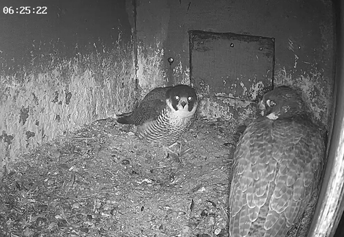 Screenshot_20260304_061841_Samsung Internet