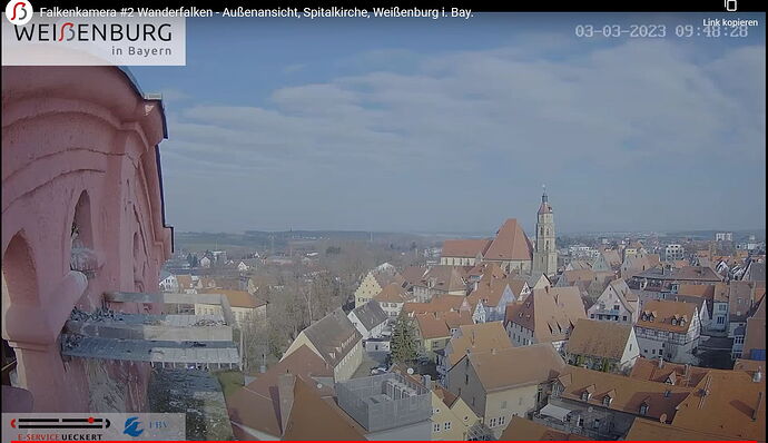 Snap_2023.03.03_09h48m45s_013_