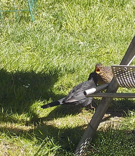 Snap_2025.05.10_16h09m33s_002_
