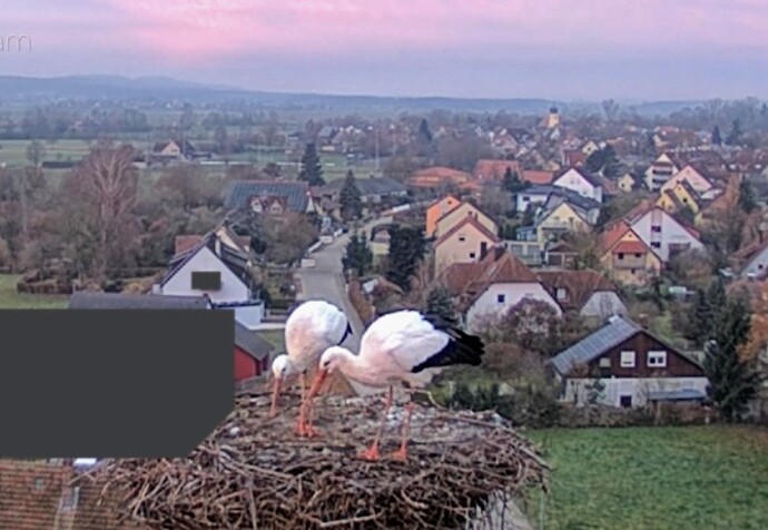 Screenshot_2025-11-28-07-44-56-768_com.android.chrome~2