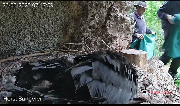 Screenshot_2025-05-26-07-49-26-033_com.android.chrome