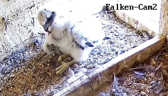 Screenshot_20230517-162052-01