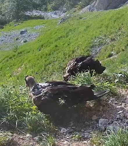 Screenshot_20250615-061358_Chrome