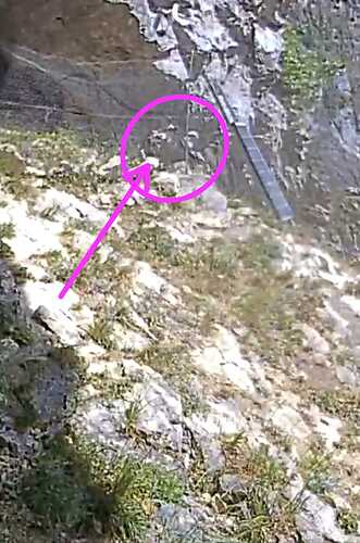 IMG-20230719-WA0000