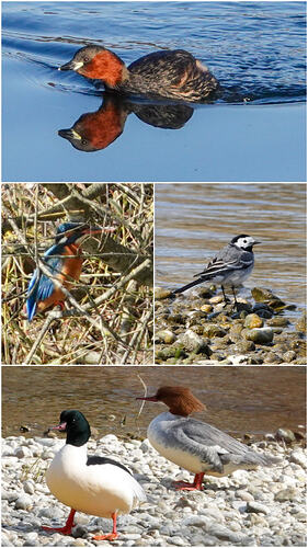 20260328_144127-COLLAGE