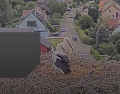 Snap_2024.07.07_16h45m43s_002_