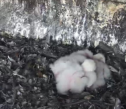 Snap_2024.04.10_16h58m07s_006_