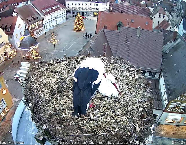 Screenshot_20231228-161231~2