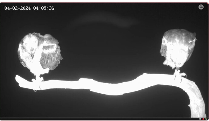 Screenshot 2024-02-03 184815