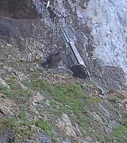 Screenshot_20230525-163203_Chrome