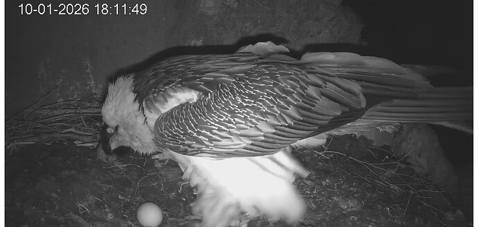 Screenshot_20260110-181254~2