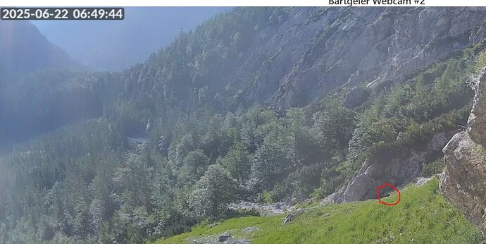 Bildschirmfoto_22-6-2025_65017_www.terra-hd.de