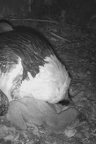 Screenshot_20240321_055353_Samsung Internet