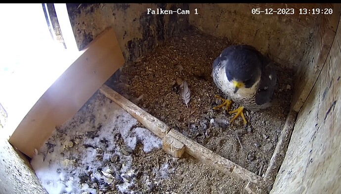 Screenshot_20231205-131937~2