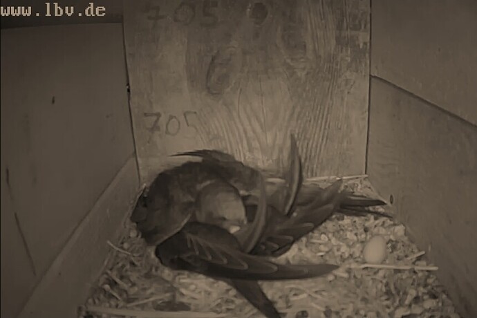 Screenshot_20250716_221743_Opera