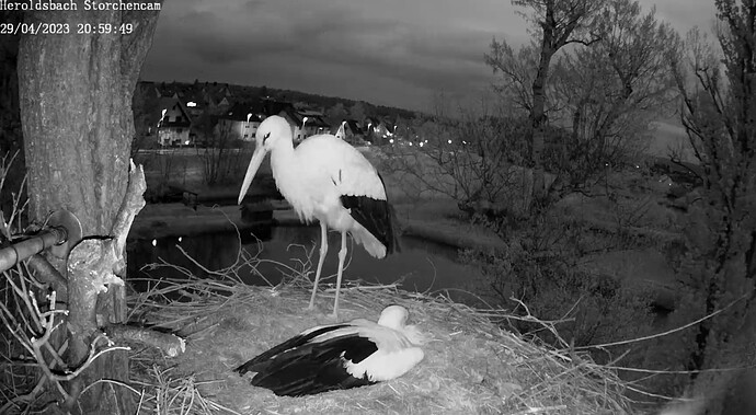 Screenshot_20230429-210012_Samsung Internet